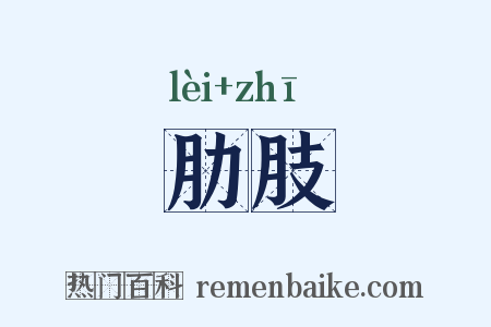 肋肢是什么意思的图片